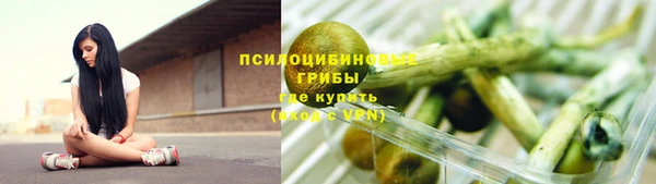 спиды Майский