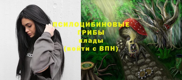спиды Майский